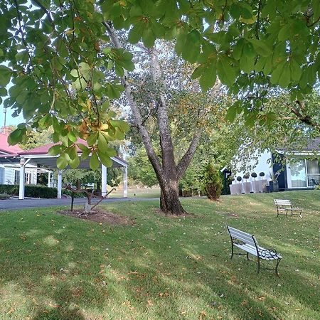 Moore Park Inn Armidale Extérieur photo
