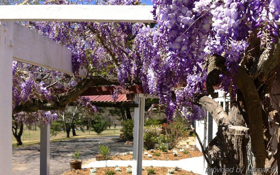 Moore Park Inn Armidale Extérieur photo