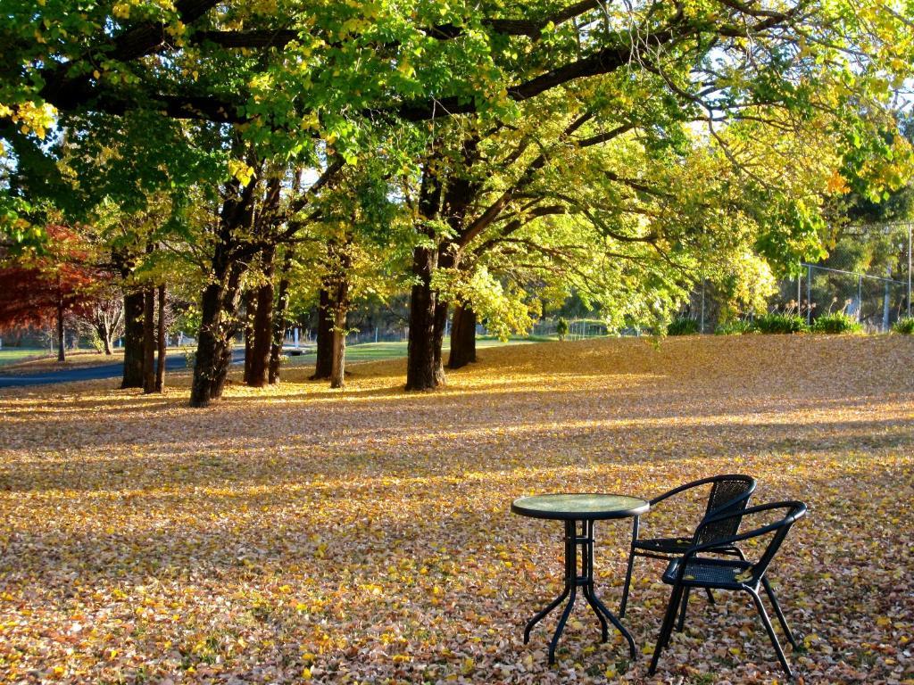 Moore Park Inn Armidale Extérieur photo